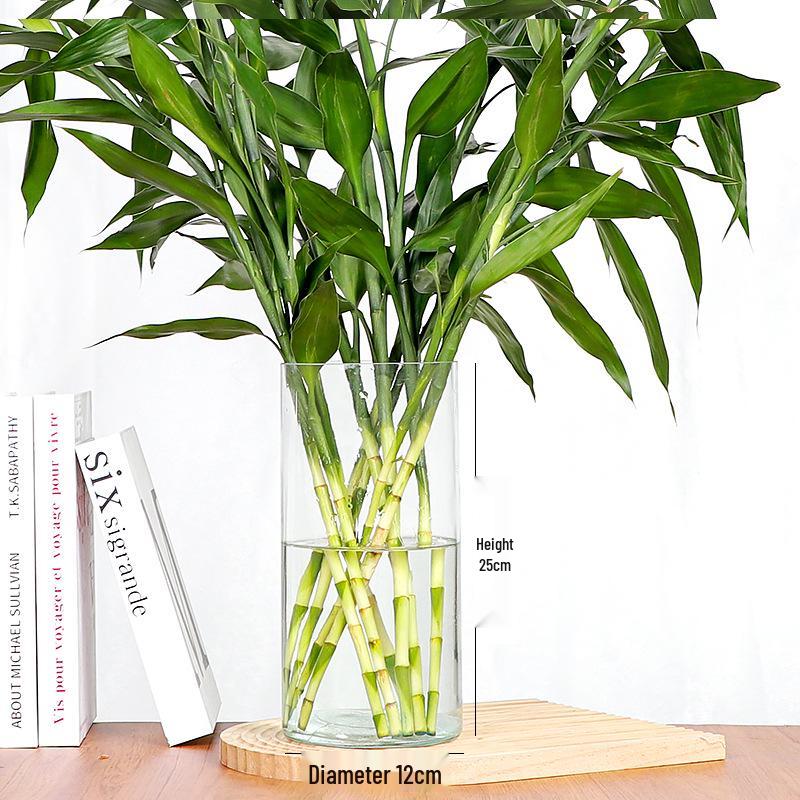 Lucky Bamboo Straight Glass Hydroponic Vase - Simple & Creative Micro Landscape Ornament