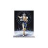 S.H.Figuarts Kamen Rider Gazer Action Figure Collectible Toy