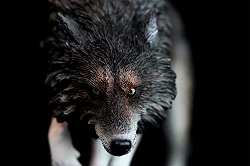 1/6 Scale Coyote Wolf Animal Figure, Realistic PVC Plastic Model, Premium Adult Toy, 20cm Class, Original Statue, Painted, Complete, Perfect for Anima