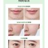 CHOSUNGAH BEAUTY - CHOSONGAH 22 C&T VVIG Cushion Cica Ampoule Set - 2 Colors