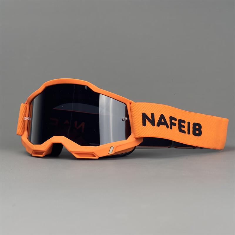 Lishi N254 Motorcycle Riding Goggles