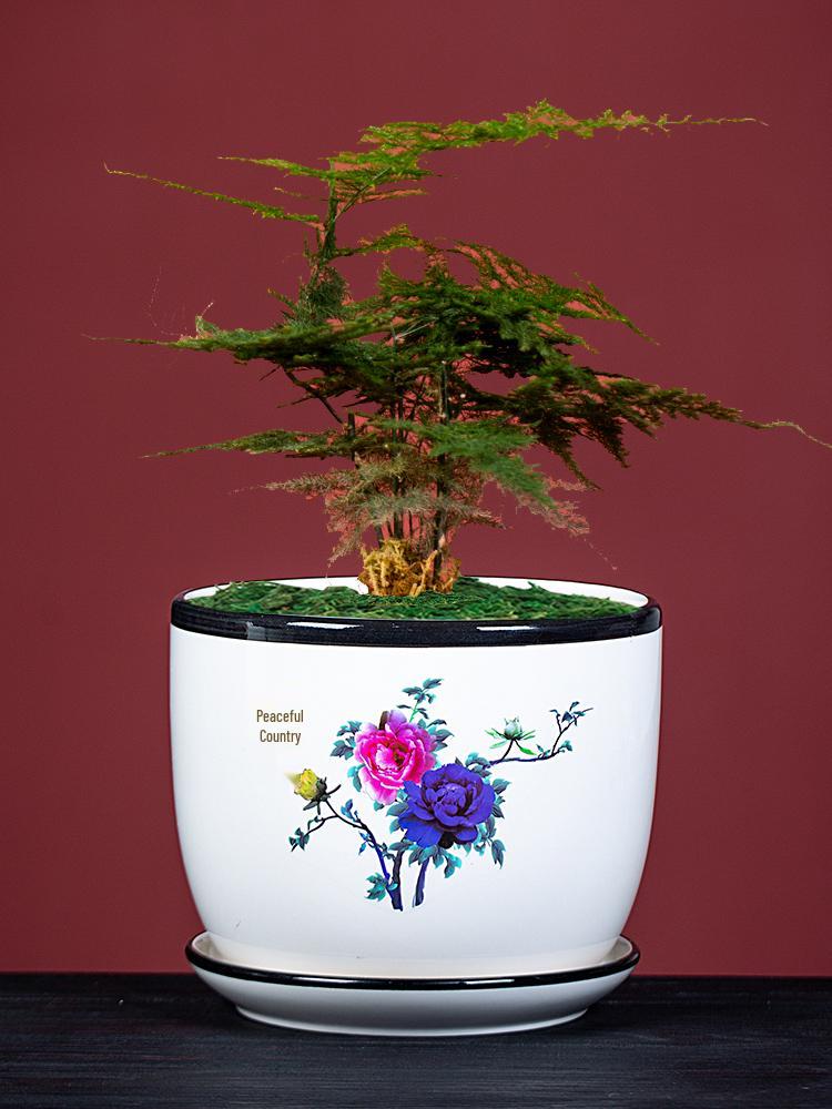 Large Ceramic Flower Pot with Saucer for Indoor or Balcony Plants