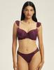 Ofiel Esotiq Padded Bra | Plum