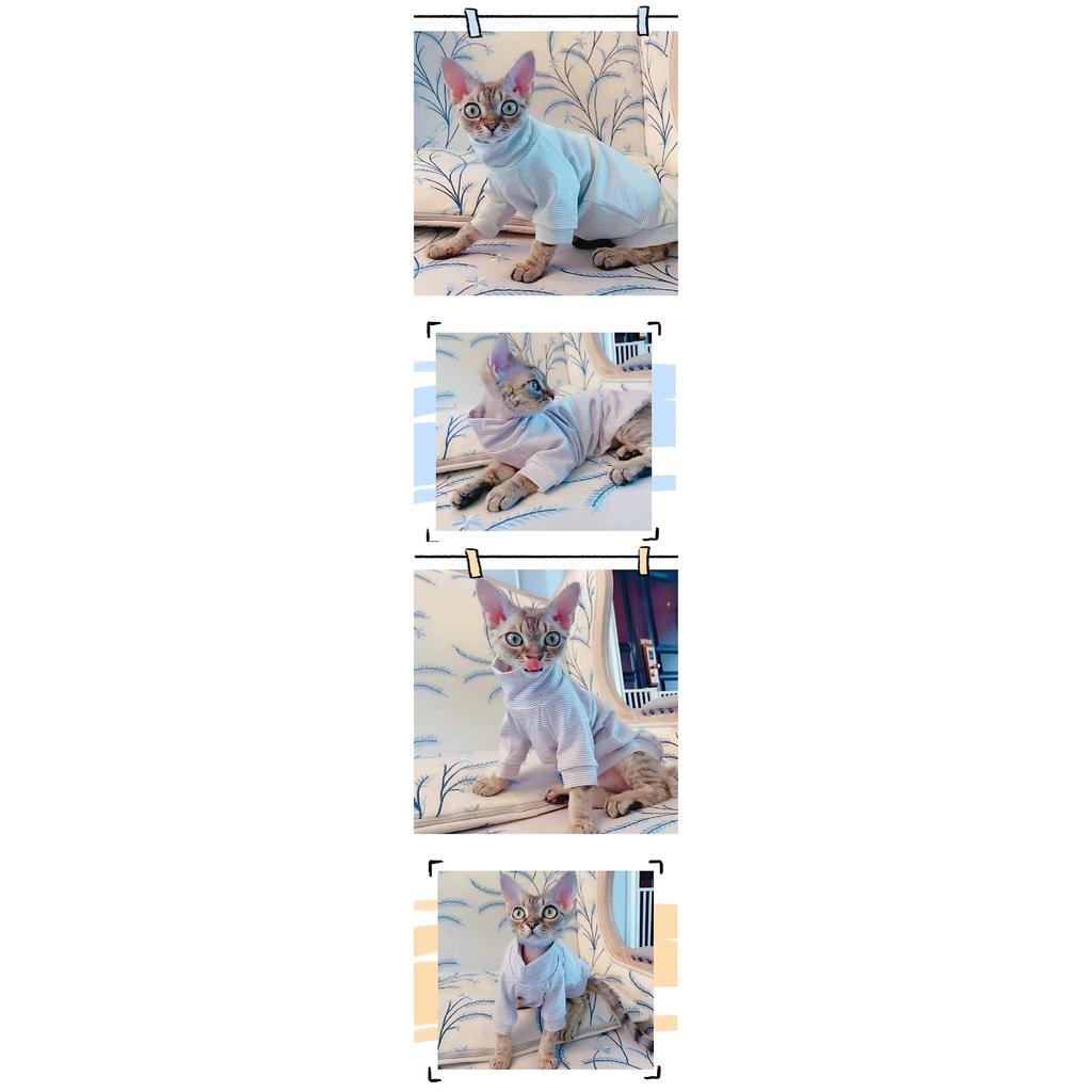 Cotton Sphinx Cat Dog Clothes For Small Puppy Hairless Cat Sweatshirt Clothing Stripe Pet Costume Kittens Jumpsuit Autumn Winter