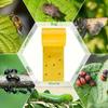 1 Rulou de Bandă Galbenă Dublu-adezivă Rezistentă la Insecte Pentru a Preveni Insectele, Furnicile și Moliile să se Cațere. Capcană de insecte de grădină exterioară 5M
