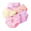 Girls' A-Class Cotton Summer Panties - Toddler To Big Kid Boxer Briefs