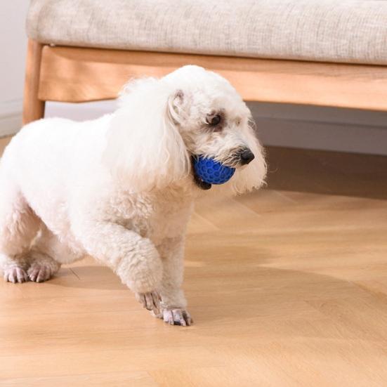 Tough Dog Chew Toy Indestructible Dog Chew Ball for Aggressive Chewers Interactive Squeaky Ball Toy for Large Medium Dogs