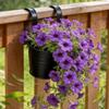 Metall Eisen Hängender Blumentopf Abnehmbarer Doppelhaken Zaun Pflanzentopf Gartenbau Dekor Bonsai Blumenständer Heim Balkon Dekor