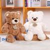 Cute White Teddy Bear Plush Toy - Silly Small Doll for Girls, Soft Comfort Gift