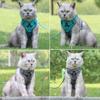 Manufacturer  Hot Selling Polyester Mesh Pet Supplies Soft Adjustable Reflective Durable Pet Dog Harness Set