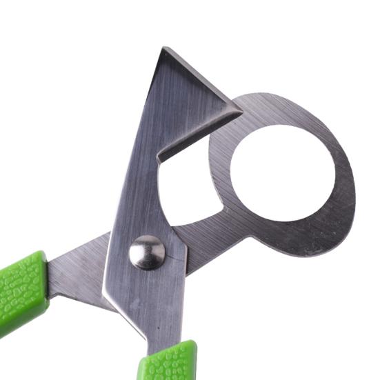 Stainless Steel Quail Bird Egg Shell Opener Scissor Cutter Clipper Kitchen Tool