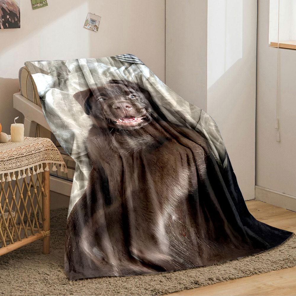 Cute Brown Puppy on Blanket for all seasons blanket lunch break throw gift