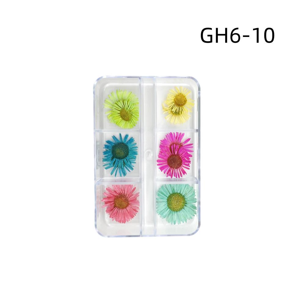 6-Grid Natural Dried Flowers for Nail Art - Japanese Style Sunflower & Baby's Breath DIY Decorations