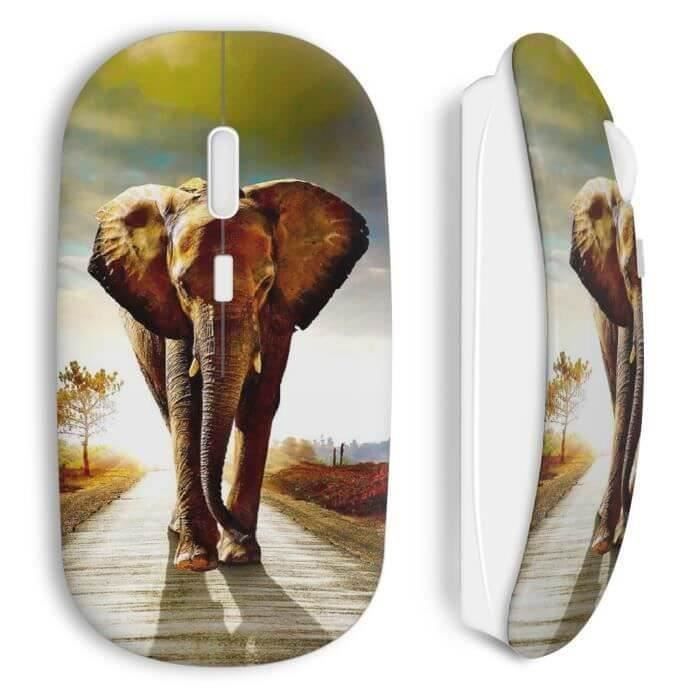 Souris sans fil - Elephant - Blanc - Clé USB wifi incluse - Compatible Mac et PC - Ergonomique