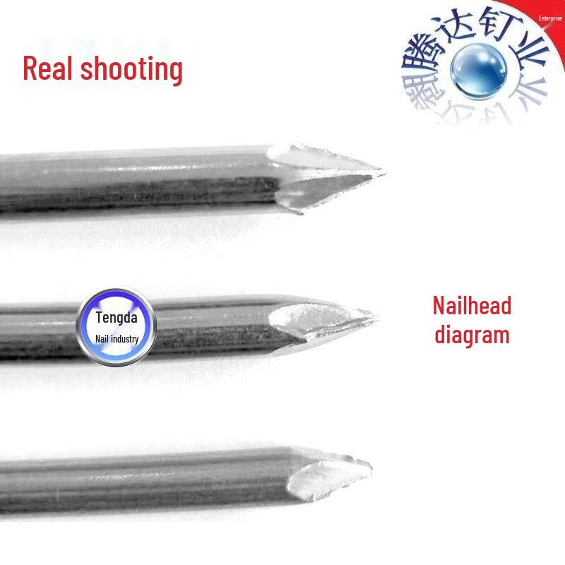 Jiemengzhe 304 Stainless Steel Common Nails