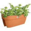 Plant pot Elho Vibia Campana Flower Bridge 60 Brown 26 x 59 x 22 cm