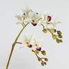 Real Touch Artificial Phalaenopsis Branches 2 Fork Fake Flowers  Garden Decoration