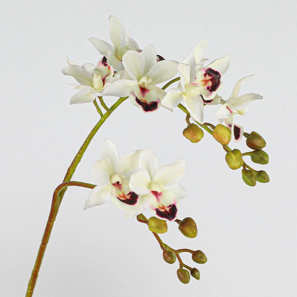 Real Touch Artificial Phalaenopsis Branches 2 Fork Fake Flowers  Garden Decoration