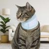 Mesh Cat Recovery Collar Soft Pet Anti-lick Collar Pet Wound Recovery Collar  Allergy Prevention