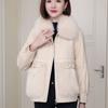 Autumn Winter Women's Faux Fur Coats Stitched Artificial Fox Fur Collar Fur Coat Short Slim Down Leather Jacket