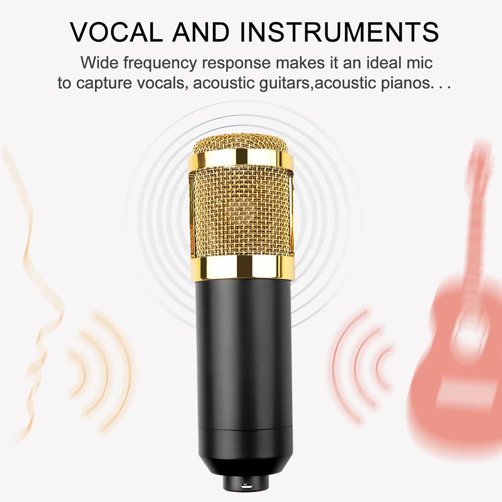 Condenser Microphones Hanging Microphones Studio For KTV Karaoke Radio Braodcasting Singing Recording Computer Live Microphone