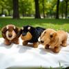 Dachshund Plush Puppy Cushion - Cute Bedtime Doll & Birthday Gift
