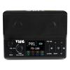 Ving FB100 Bluetooth Rechargeable Electric Guitar Amplifier with Multi-Effects, Portable for Outdoor Performances.