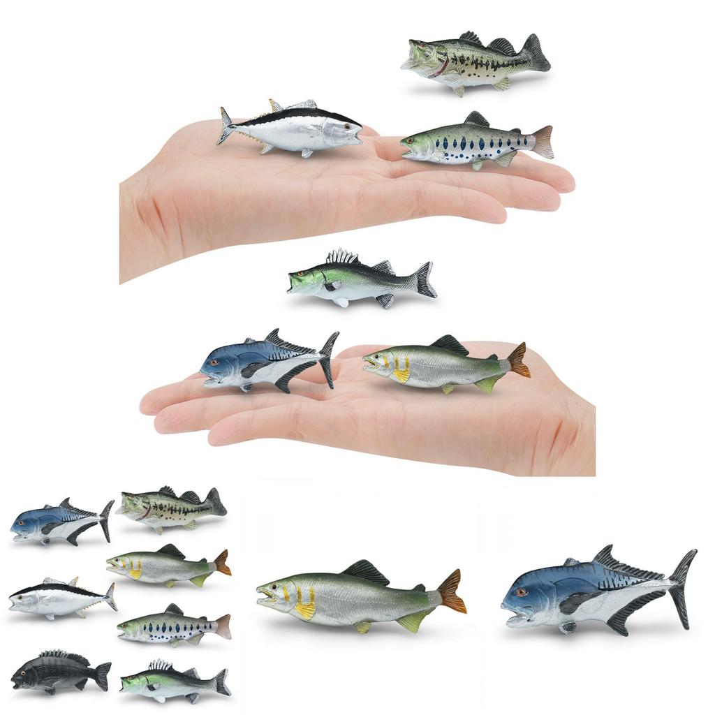 Realistisches Ozeanfisch-Modellset aus Kunststoff für Aquarienliebhaber und Bildungsdisplays