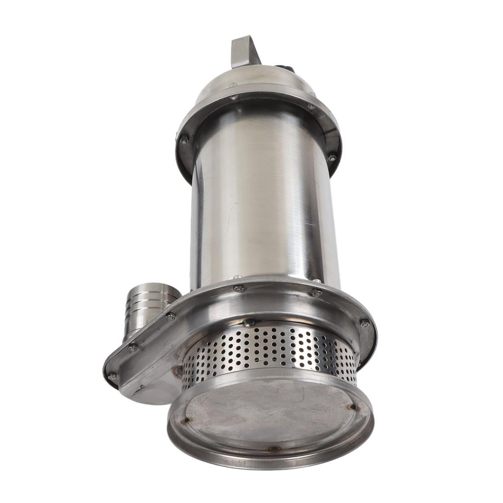 Tauchpumpe Edelstahl Hauswasserwerk Elektrisch Korrosionsbeständig Meerwasserpumpe 750W 220V