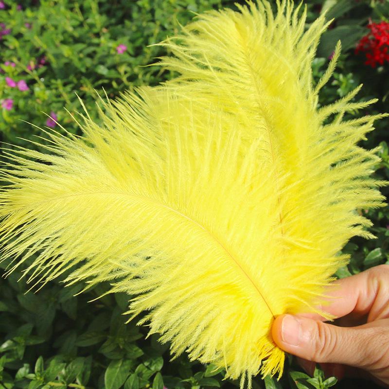 Large 15-20cm Ostrich Feathers for Wedding Arrangements and Stage Props