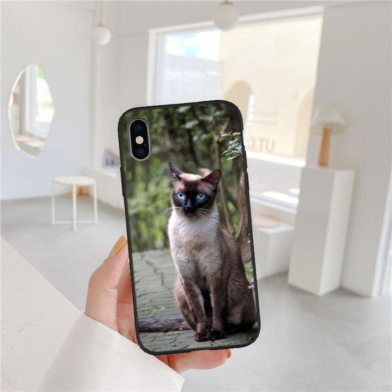 PP22 Cute Siamese Cat Soft Shell Phone Case for Xiaomi Xiaomi Poco M4 M5 M6 M7 X3 X6 X7 F8 Ultra Pro GT NFC