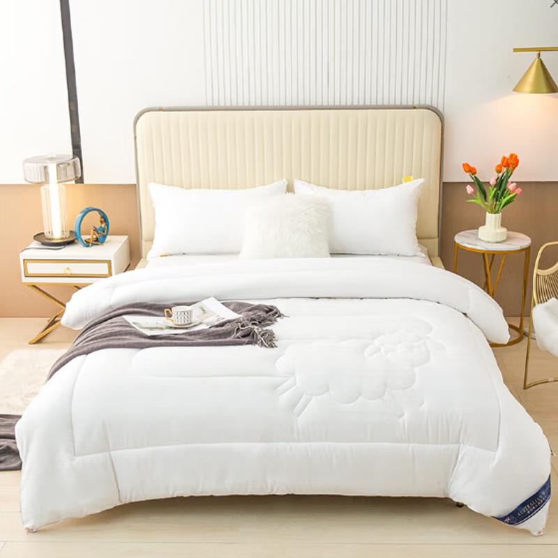 

Роман Ролан Домашний Текстиль Шерстяное Одеяло