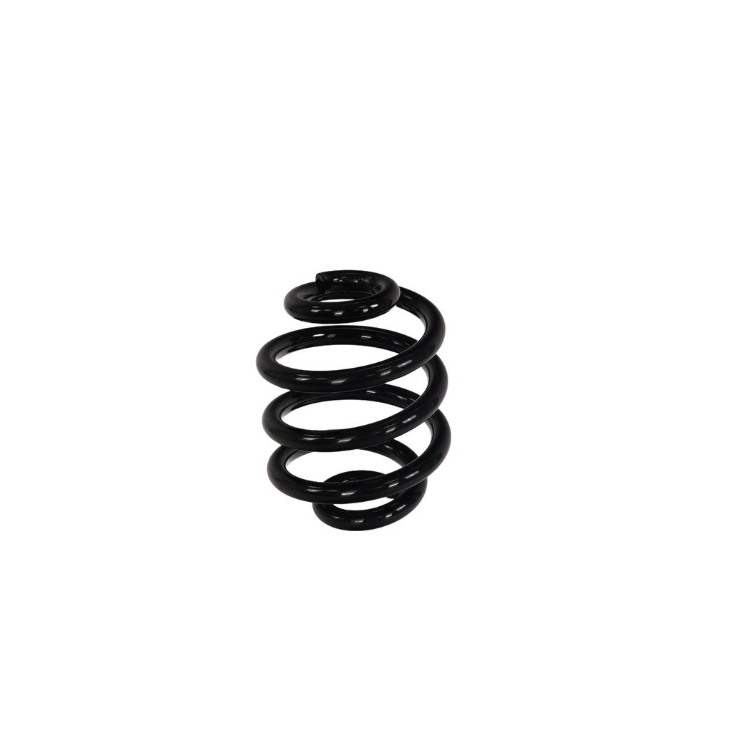Ft01901 Fast Rear Suspension Spring