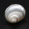 Natural White Conch Ring for Women Men Seashell Finger Rings Adjustable Silver Color Summer Beach Party Jewellery 25x30mm