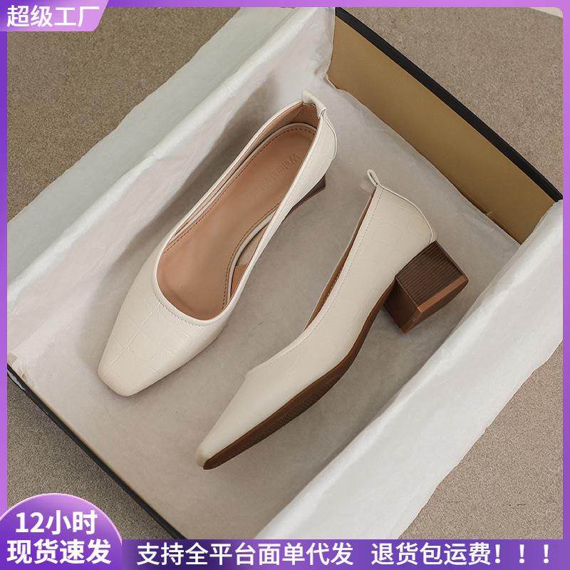 Pointed Single Shoes Women's Thick Heel Autumn Versatile Soft Sole Large Size Ladyshoes