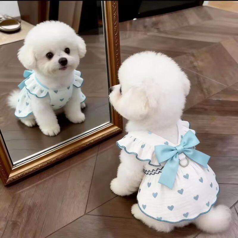 Sun Protection Lace Off-Shoulder Dress Thin Dog Princes Dress Flower Print Princess Skirt Anti-Static Puffy Skirt Small D...