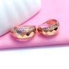Purple Gold Shiny Circle Earrings Temperament Rose Gold Plated Color Gold Laser Car Flower Ear Buckle