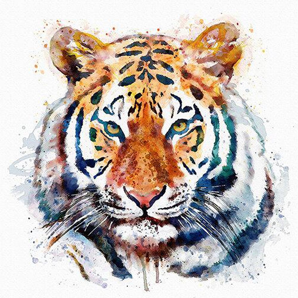 

5D Diy алмазная живопись животное Сова Алмазная вышивка пейзаж закат мозаика вышивка крестиком украшение дома Рождественский подарок 30X30cm