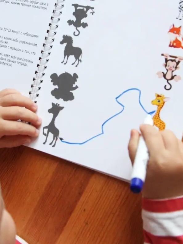 Children's Reusable Developing Copybook Write-erase  2-6 Years Old