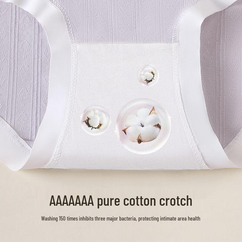 Women's Modal Seamless Mid-Waist Briefs - 7 Pack