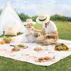 OEING Portable Folding Picnic Mat & Blanket