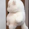 Internet Celebrity Meow It Cub Doll Cute White Cat Plush Toy Super Cute Cat Doll Meow It Sister Throw Pillow Birthday Gift