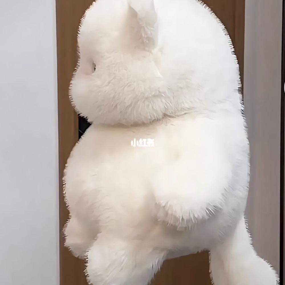 Internet Celebrity Meow It Cub Doll Cute White Cat Plush Toy Super Cute Cat Doll Meow It Sister Throw Pillow Birthday Gift