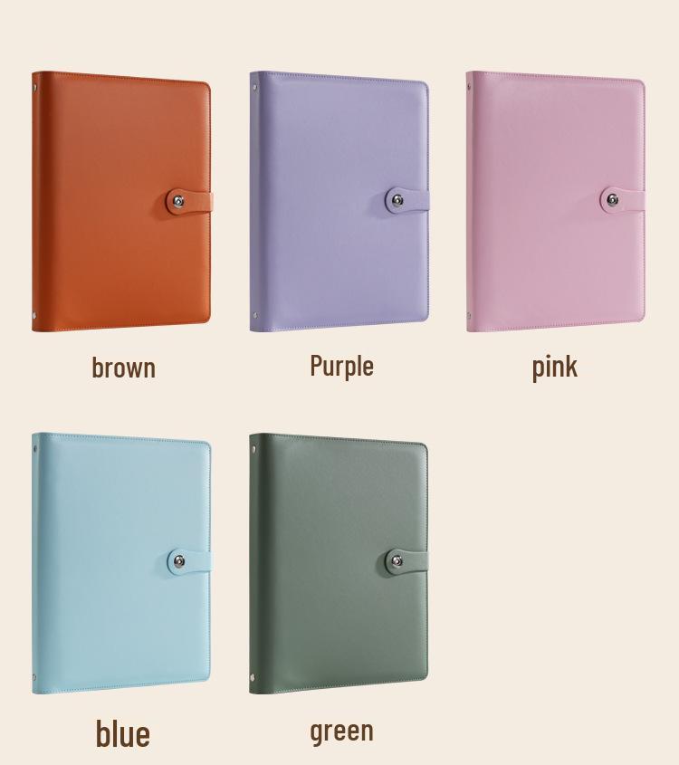 A4 Large Capacity Family Document Binder with Transparent Pages for Birth Certificates and Household Records