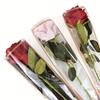 50pcs Rose Flower Packaging Bag Bouquet Transparent Glass Paper Single Branch Flower Packaging Paper Valentine's Day Gift