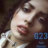 G23 Titanium Internally Threaded T-Bar Labret Stud (Pure Titanium Body Piercing Jewelry)