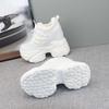 Fashion 12cm Hidden Heel Dad Shoes Women Thick Sole Casual Breathable Mesh Block Heel 10cm White Sneakers