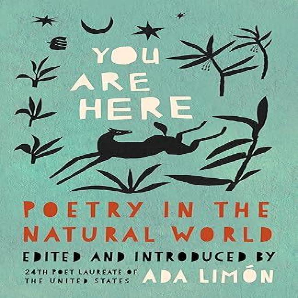 You Are Here by Ada Limn Paperback Book 9781571315694