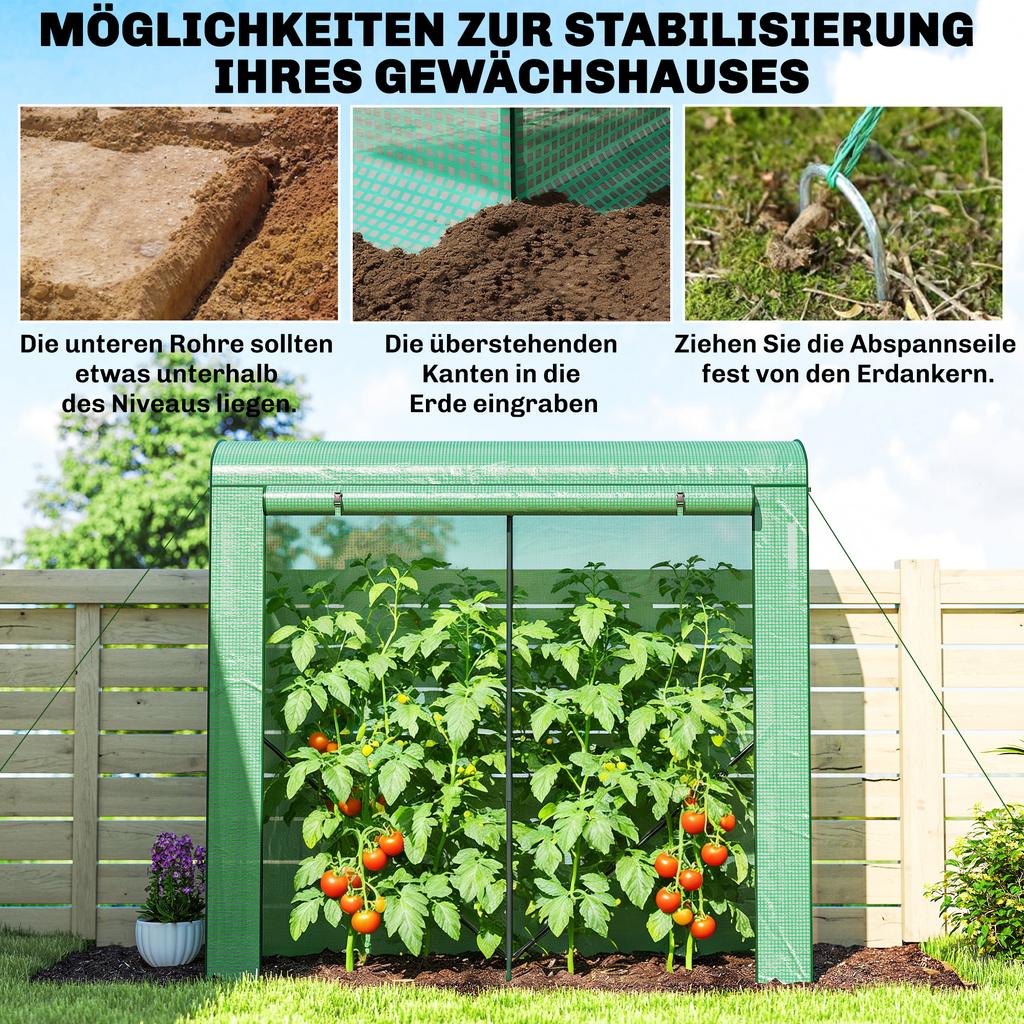Mini Kas, Tuin Tomaten Kweekkas met Roldeur en 2 Gaasramen, PE Afdekking, 200 x 75 x 188 cm, Groen