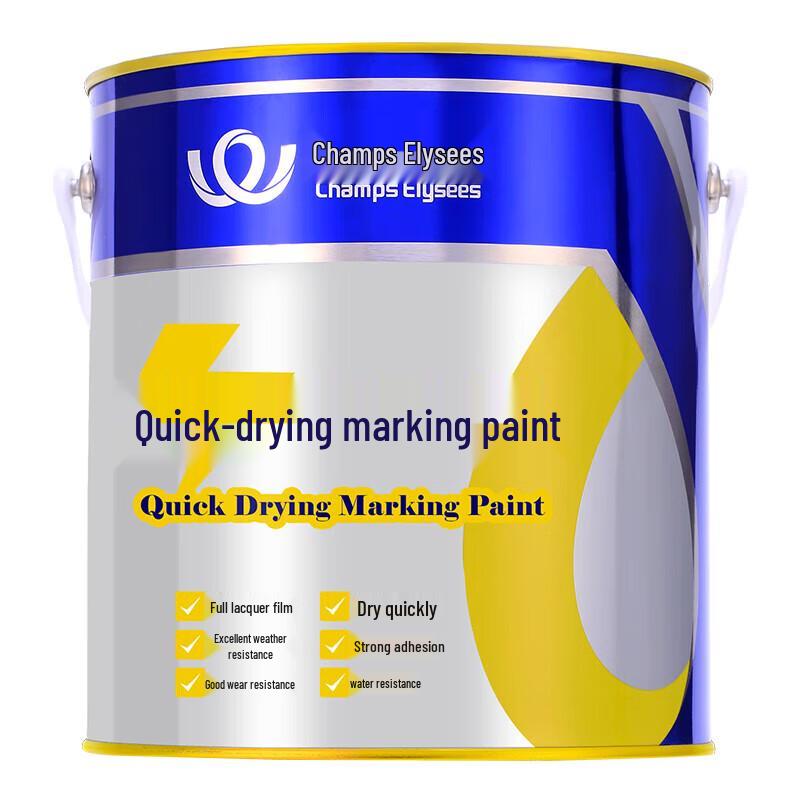 Champs Elysees Road Marking Paint